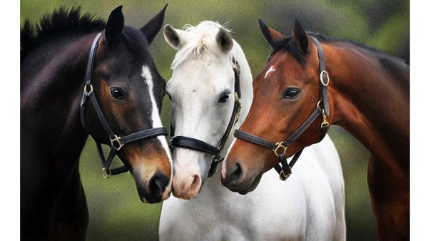 Gold Equestrian Jewellery